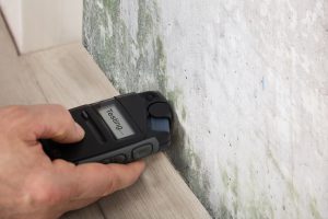 Person Hand Measuring The Wetness Off A Moldy Wall