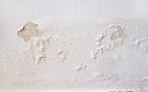 קיר לבן מתקלף כתוצאה מעובש בקירות