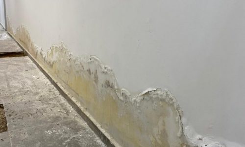 רטיבות בקיר גורם לקילוף צבע לבן